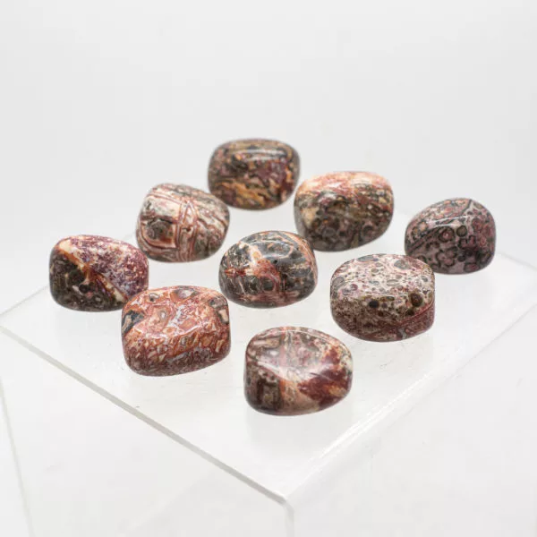 leopard skin jasper tumbled stones