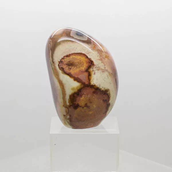 polychrome jasper free form (4)