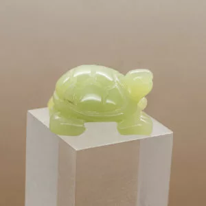 new jade turtle (2)