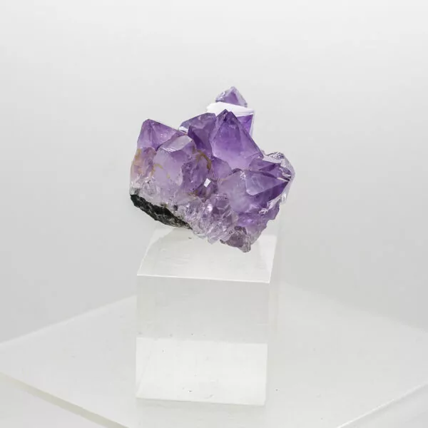 amethyst cluster (3)