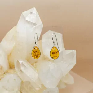 baltic amber drop earring