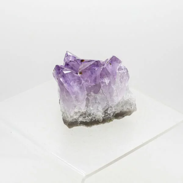 amethyst cluster