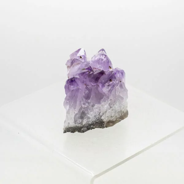 amethyst cluster