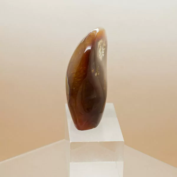 carnelian free form