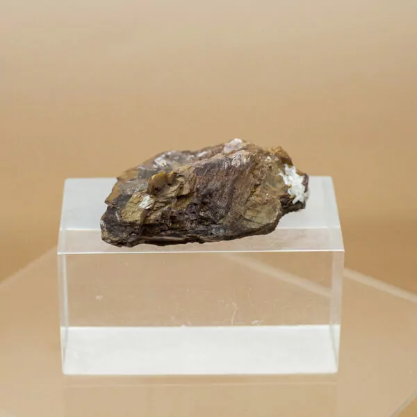 siderite and chalcopyrite