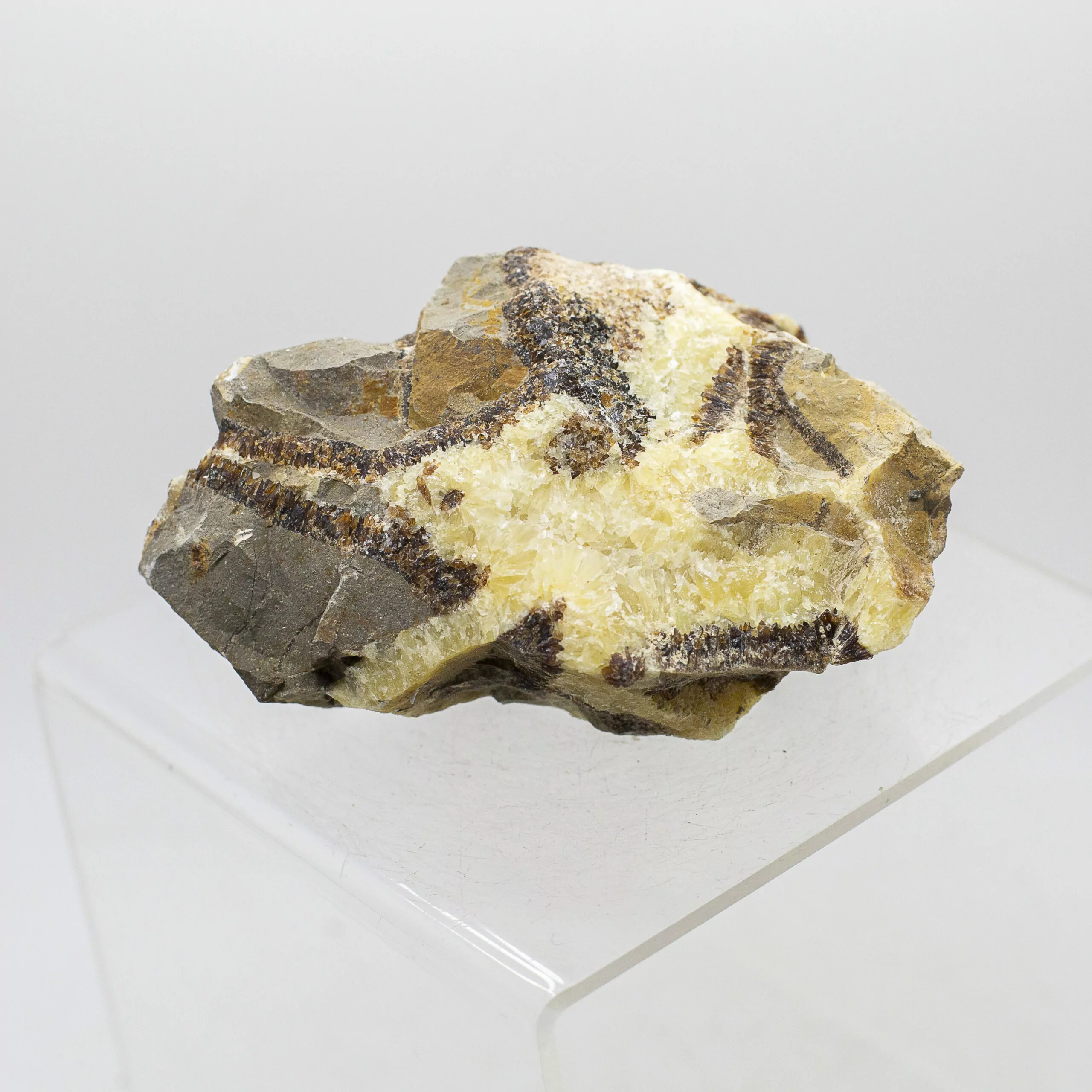 septarian natural chunk