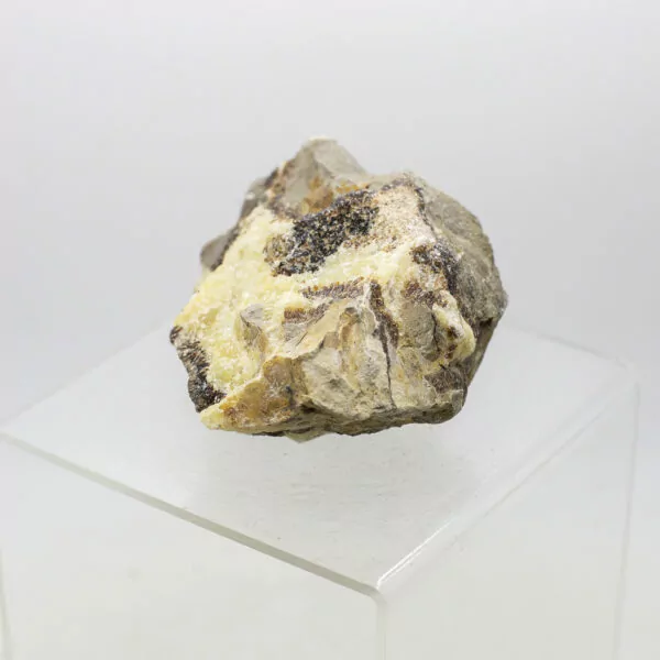 septarian natural chunk (copy)