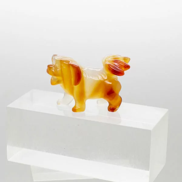 carnelian dog