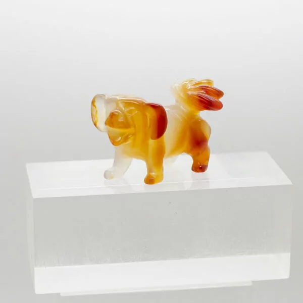 carnelian dog