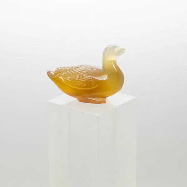 carnelian duck