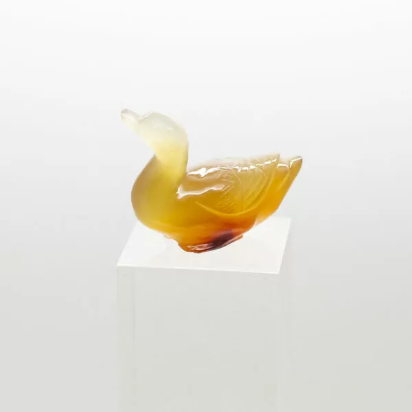 carnelian duck