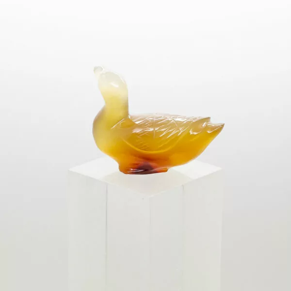 carnelian duck