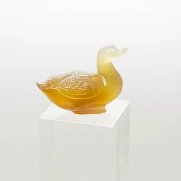 carnelian duck