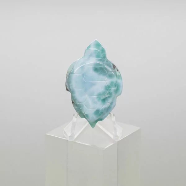 larimar turtle