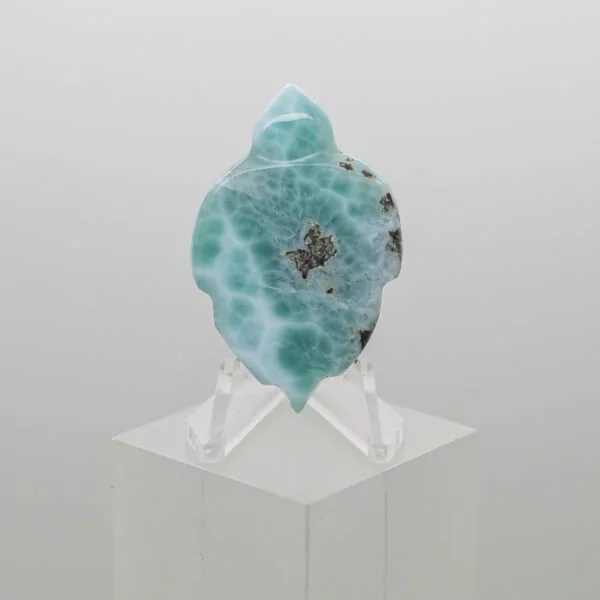 larimar turtle