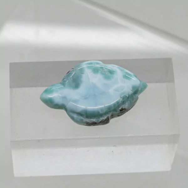 larimar turtle