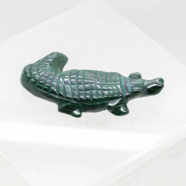 malachite crocodile