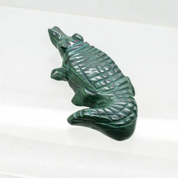 malachite crocodile