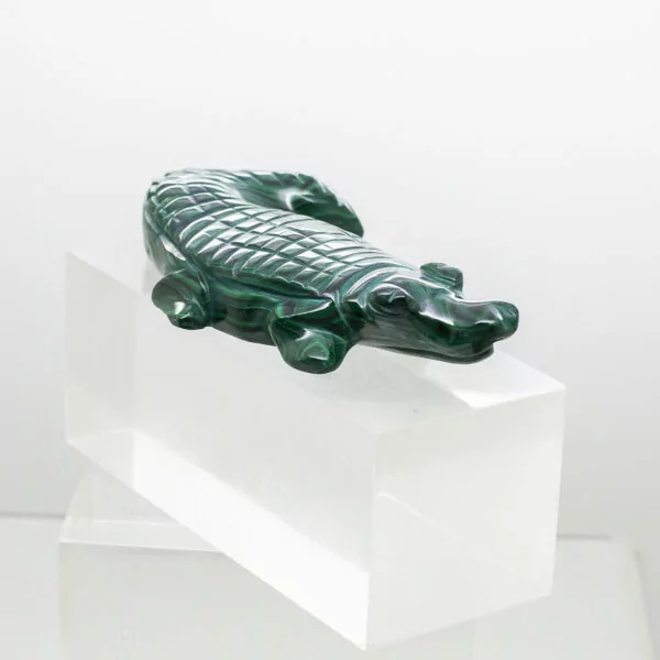 malachite crocodile