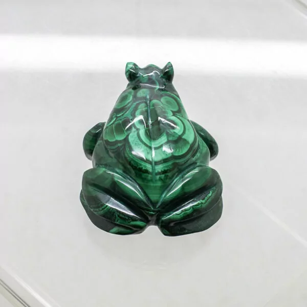 malachite frog