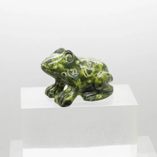 serpentine and stitchtite frog