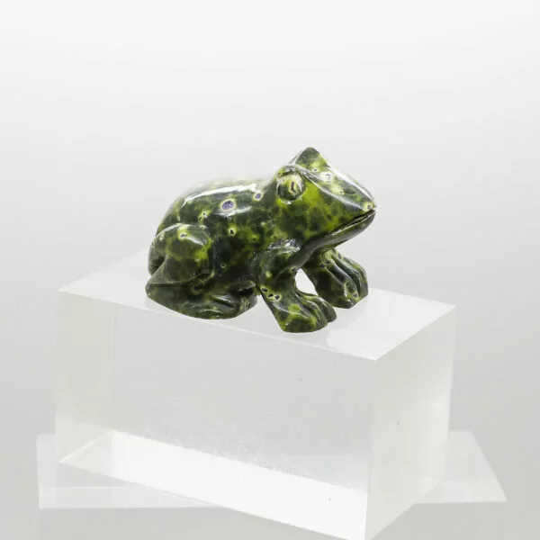 serpentine and stitchtite frog