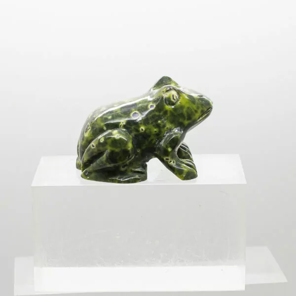 serpentine and stitchtite frog