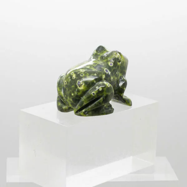 serpentine and stitchtite frog