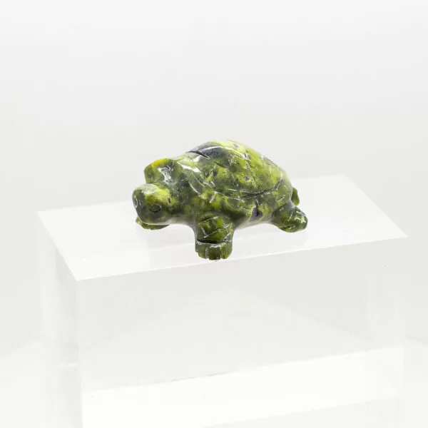 serpentine and stitchtite turtle