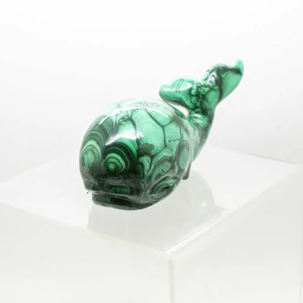 malachite whale