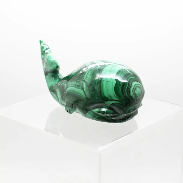 malachite whale