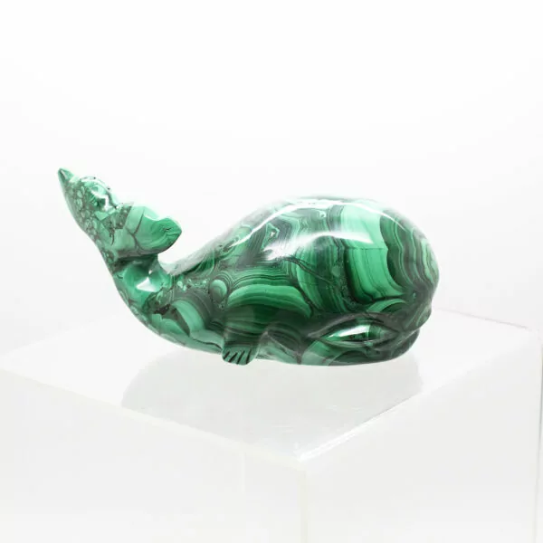 malachite whale