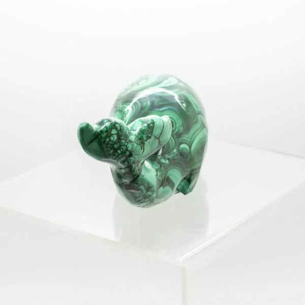 malachite whale