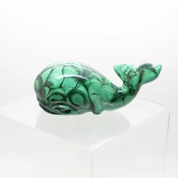 malachite whale