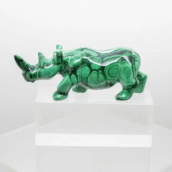 malachite rhinoceros