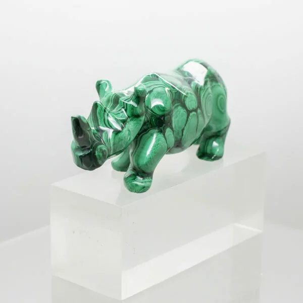 malachite rhinoceros