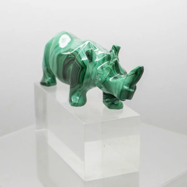 malachite rhinoceros