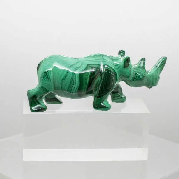 malachite rhinoceros