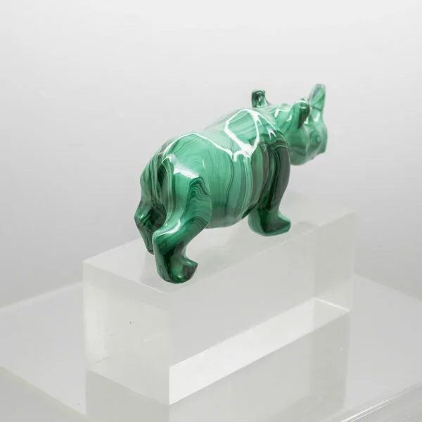 malachite rhinoceros