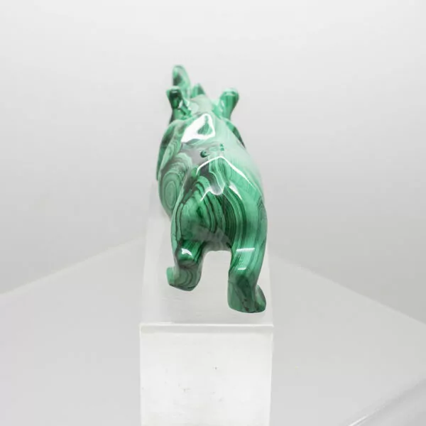 malachite rhinoceros