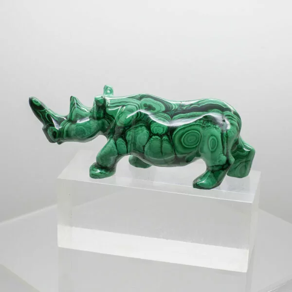 malachite rhinoceros