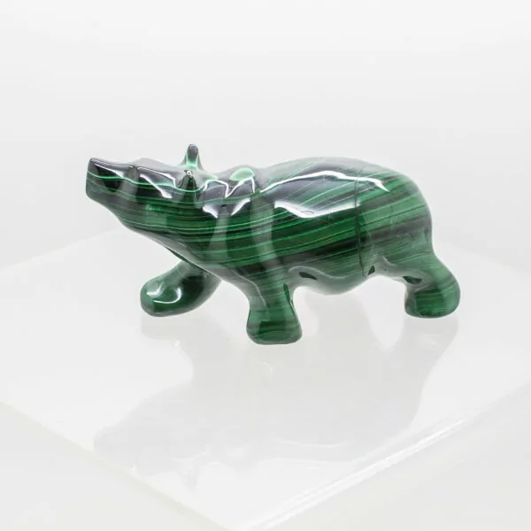 malachite polar bear