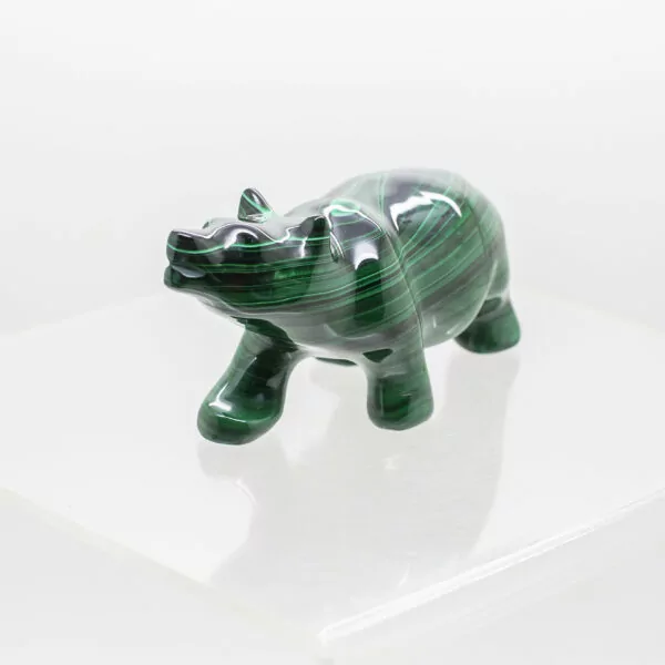 malachite polar bear