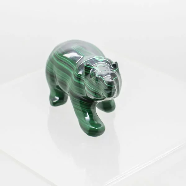 malachite polar bear