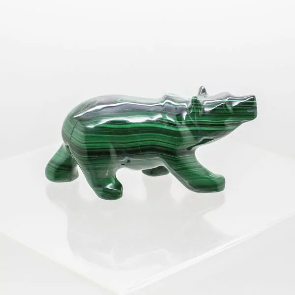 malachite polar bear