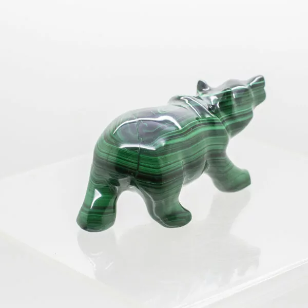 malachite polar bear