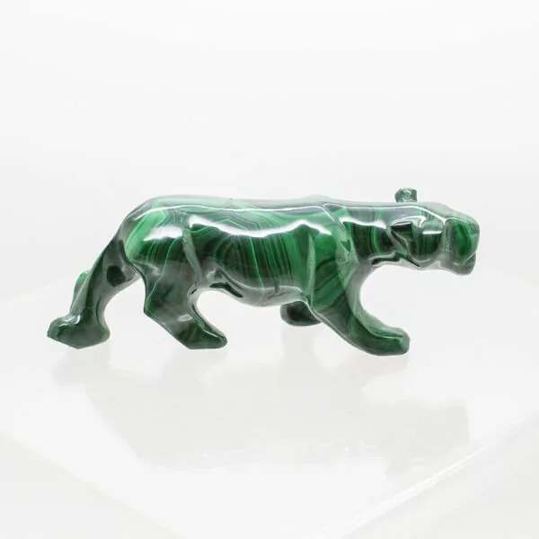 malachite elephant tiger