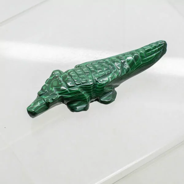 malachite crocodile