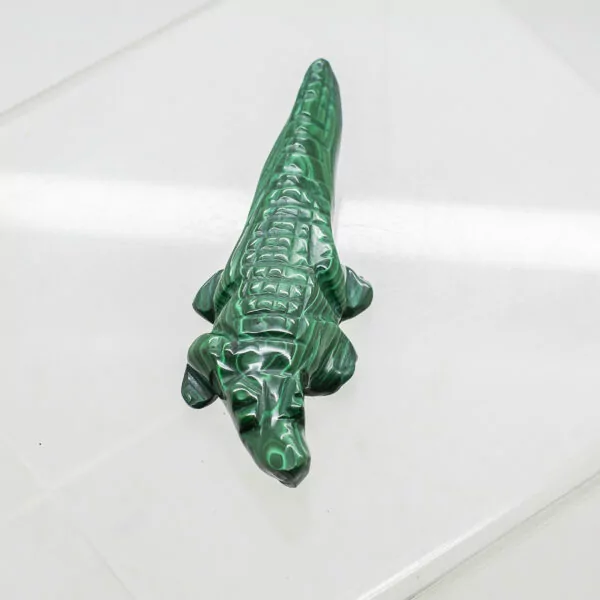 malachite crocodile