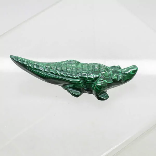 malachite crocodile